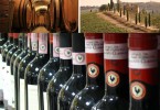 Vini toscani - EFW