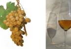 Vini dolci siciliani - EFW